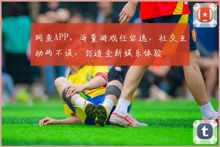 网鱼APP，海量游戏任你选，社交互动两不误，打造全新娱乐体验