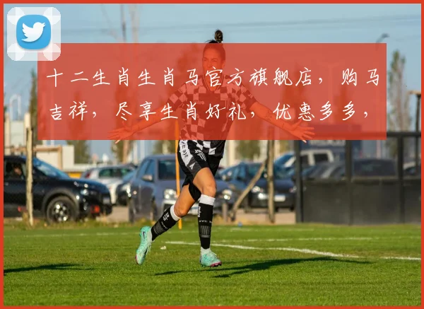 十二生肖生肖马官方旗舰店，购马吉祥，尽享生肖好礼，优惠多多，速来抢购